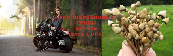 spice Волоколамск