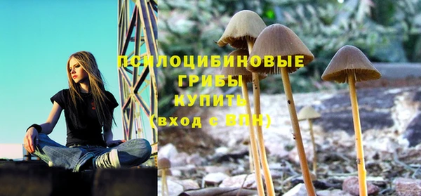 Альфа ПВП Верхнеуральск