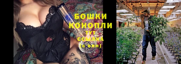 спиды Бородино