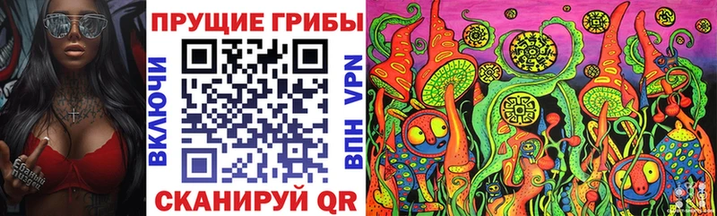 Купить где  Дзержинский  Галлюциногенные грибы мицелий 